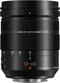 【ジャンク】LEICA DG VARIO-ELMARIT 12-60mm Amazon.com : Panasonic LUMIX Professional 12-60mm Camera